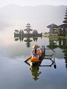 Growing and Managing Global Operations