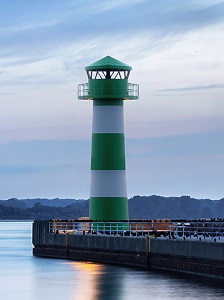 Fraud and Cybersecurity