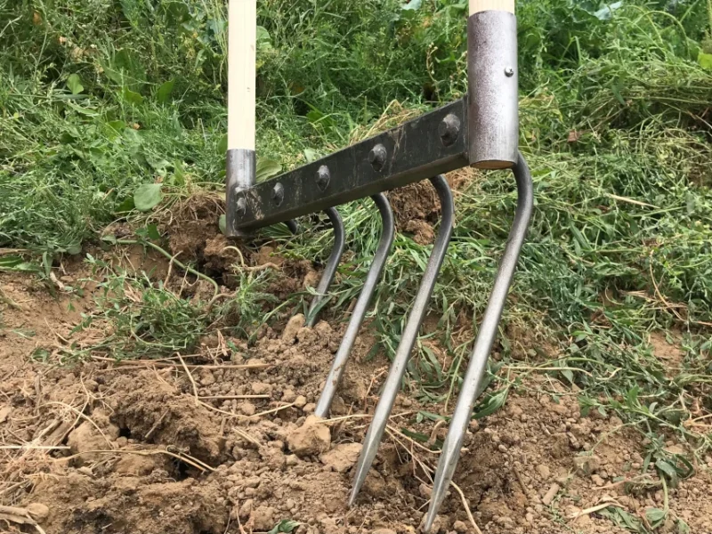 When should you use your garden trowel?