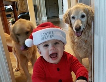 Image with missing alt attribute found on browneyedbaker.com