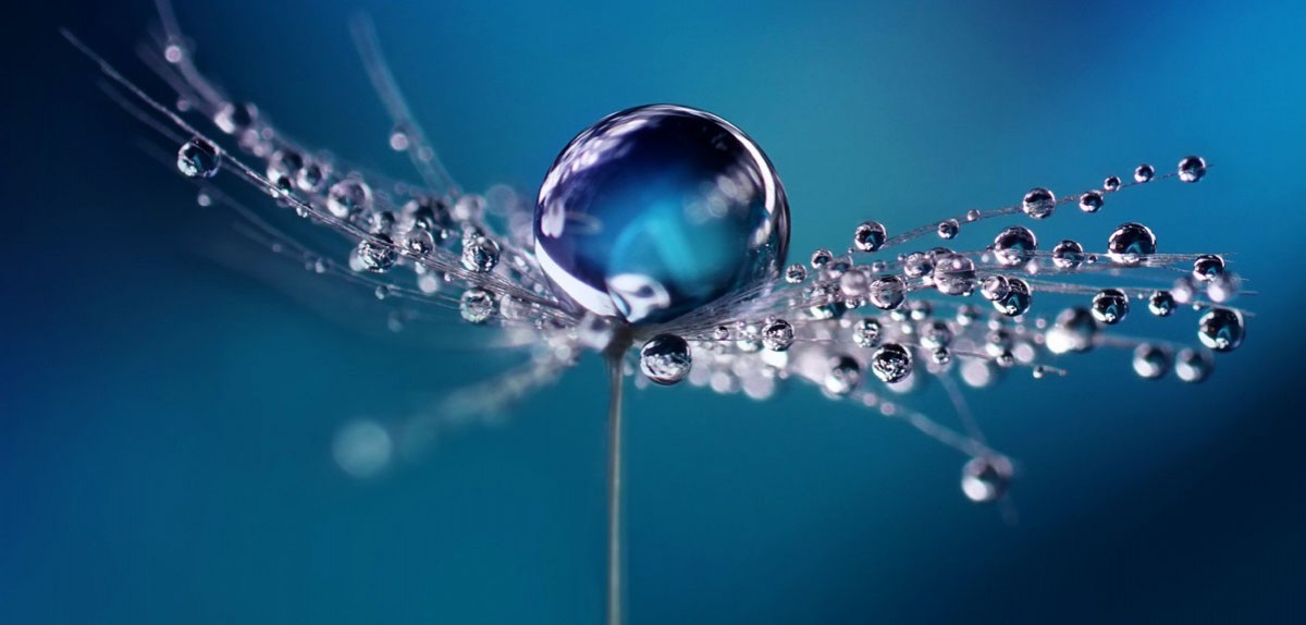 Image with missing alt attribute found on bsk.com