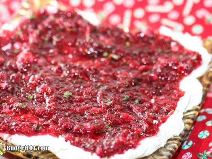 b101-cranberry-salsa-appetizer