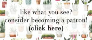 Image with missing alt attribute found on burlapandblue.com