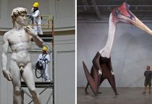 Image with missing alt attribute found on cabroworld.com