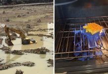 Image with missing alt attribute found on cabroworld.com