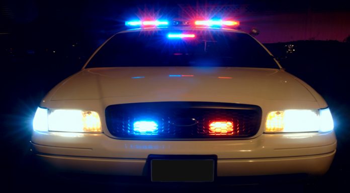 Image with missing alt attribute found on cactushugs.com