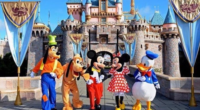 Image with missing alt attribute found on cactushugs.com