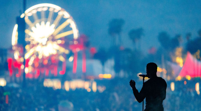 Image with missing alt attribute found on cactushugs.com