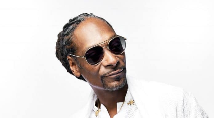 Image with missing alt attribute found on cactushugs.com