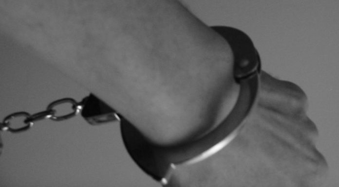 Image with missing alt attribute found on cactushugs.com