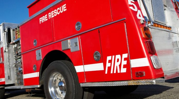 Image with missing alt attribute found on cactushugs.com