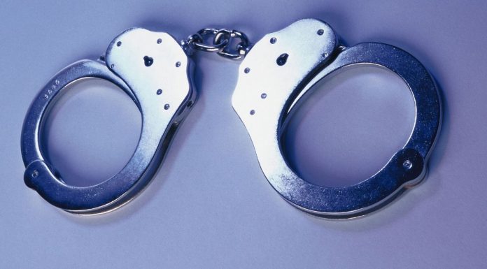 Image with missing alt attribute found on cactushugs.com