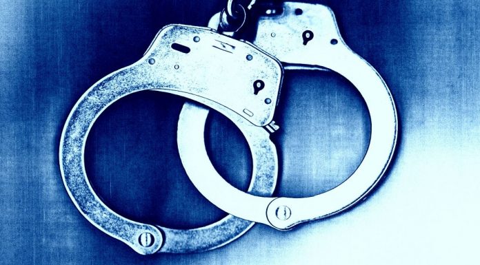 Image with missing alt attribute found on cactushugs.com