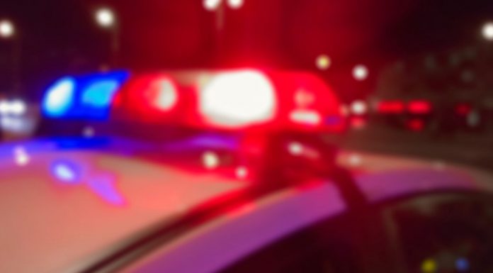 Image with missing alt attribute found on cactushugs.com