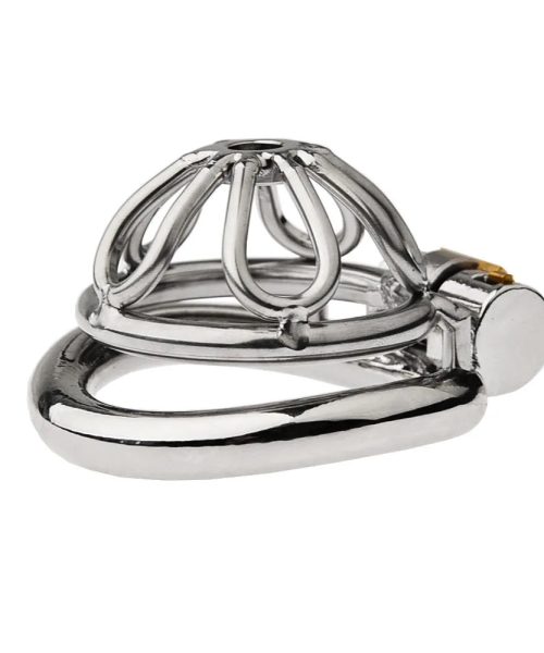 cage-de-chastete-courte-1