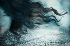 Image with missing alt attribute found on caminosalser.com