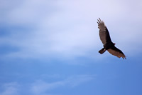 Image with missing alt attribute found on caminosalser.com