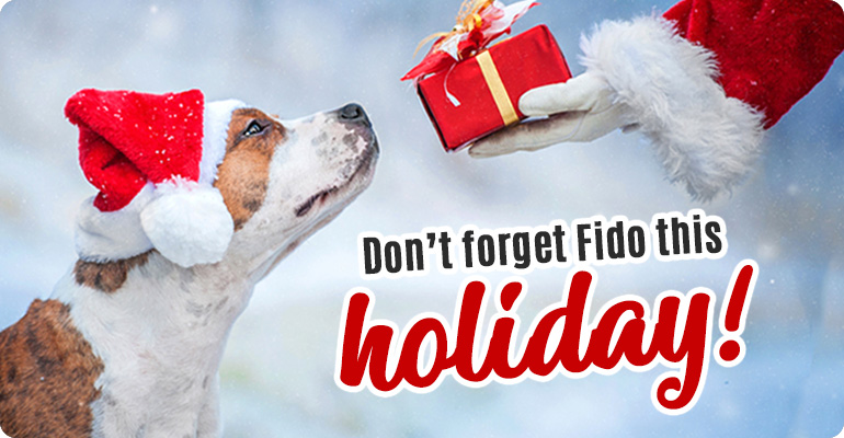 Image with missing alt attribute found on carealotpets.com