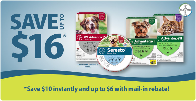 Image with missing alt attribute found on carealotpets.com