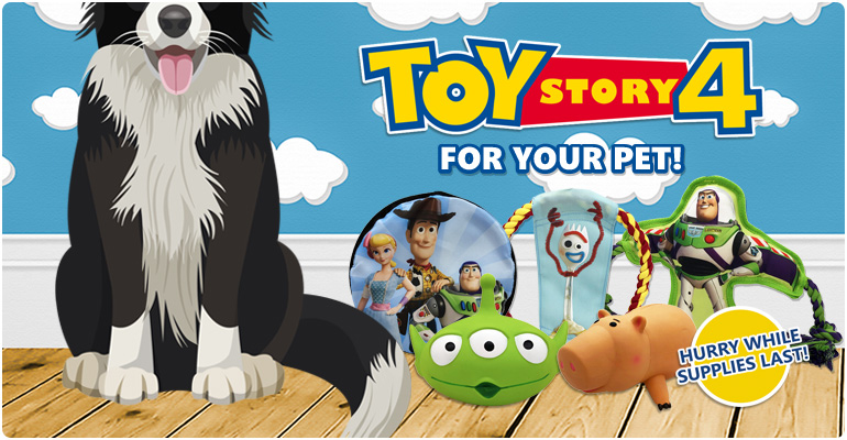 Image with missing alt attribute found on carealotpets.com