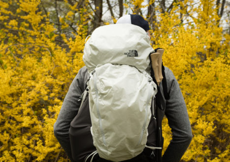 Image with missing alt attribute found on carryology.com