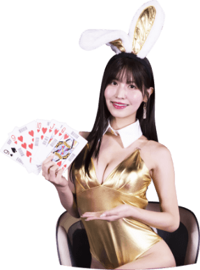 Image with missing alt attribute found on casinoku.net