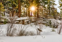 Image with missing alt attribute found on castanet.net