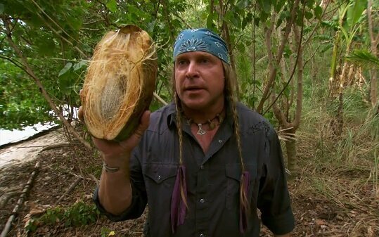 Image with missing alt attribute found on celebsolino.com