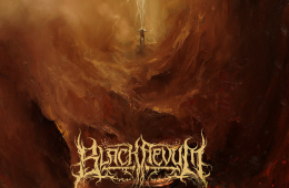 Image with missing alt attribute found on centraltrack.com