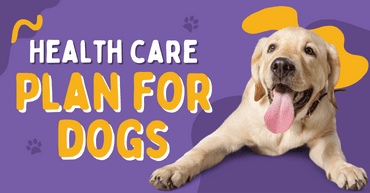 Image with missing alt attribute found on cessnapetstore.in