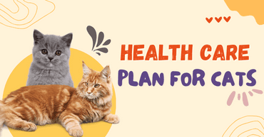 Image with missing alt attribute found on cessnapetstore.in