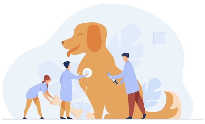 Image with missing alt attribute found on cessnapetstore.in