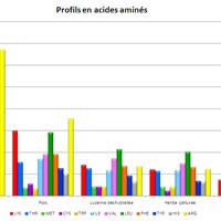 Image with missing alt attribute found on chevalannonce.com