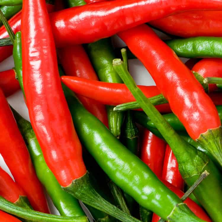 Image with missing alt attribute found on chilipeppermadness.com