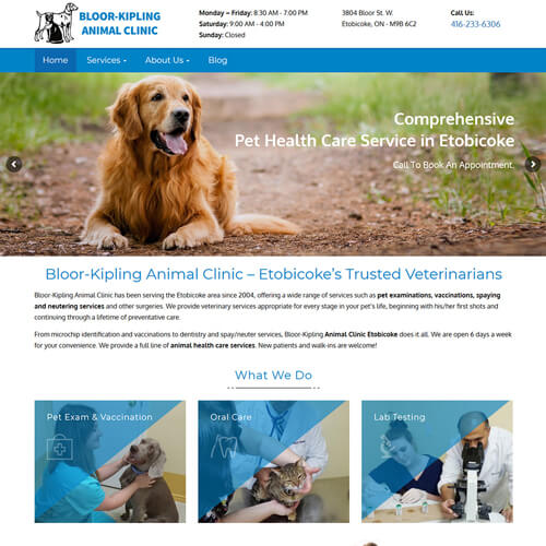 Web Design Mississauga