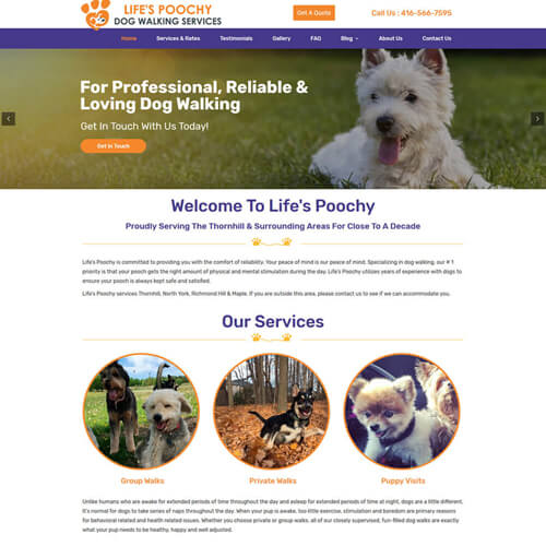 Website Design Mississauga