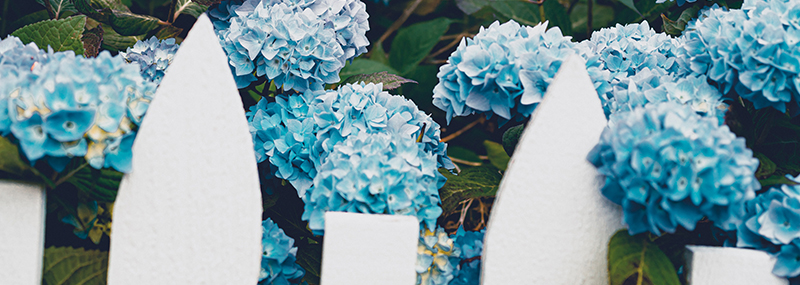 Image with missing alt attribute found on clearskiescapital.com