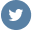 twitter icon