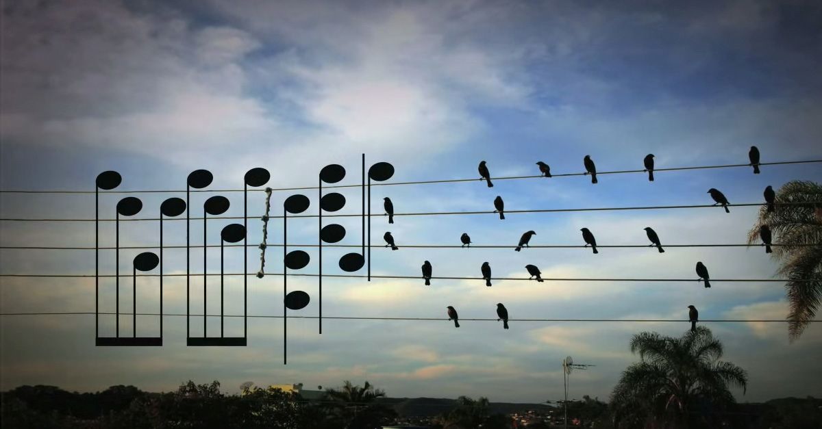 Image with missing alt attribute found on cmuse.org