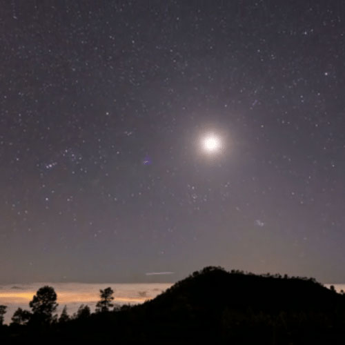 2-MILLION-LICENSABLE-ASSETS