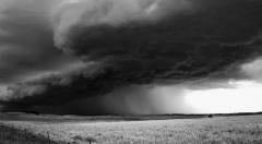 Image with missing alt attribute found on co-optimus.com