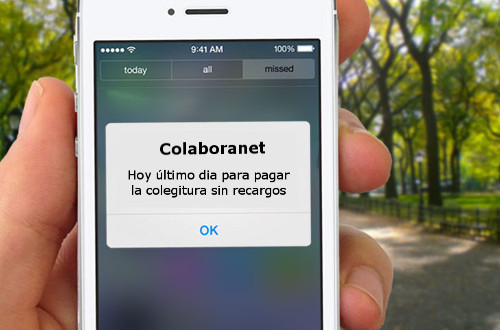 Image with missing alt attribute found on colaboranet.com