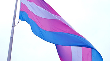 Image with missing alt attribute found on collegeart.org