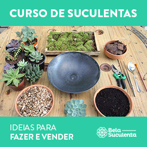 Image with missing alt attribute found on comofazeremcasa.net