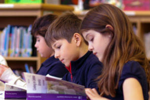 Image with missing alt attribute found on coreknowledge.org