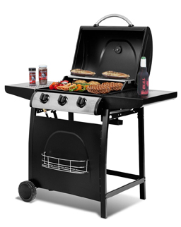 Image with missing alt attribute found on costway.ca