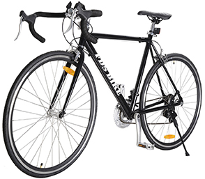 Image with missing alt attribute found on costway.ca