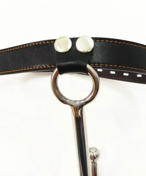 crochet-anal-pour-promenade-1