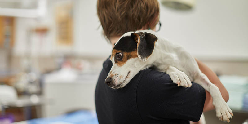 Image with missing alt attribute found on cscc.edu