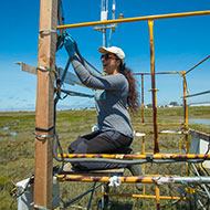 Image with missing alt attribute found on csueastbay.edu